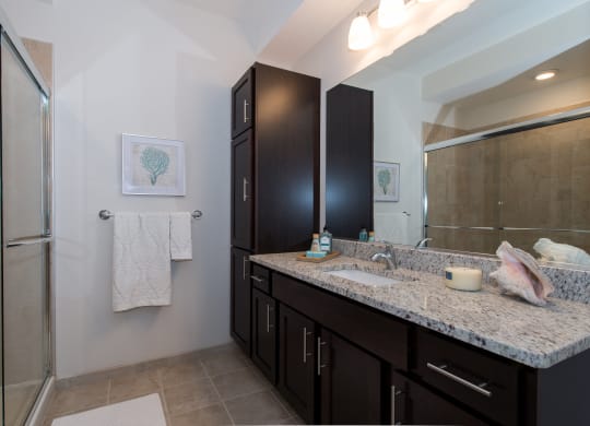 a bathroom with a sink and a shower and a mirror