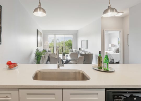 a kitchen with a sink and a view of a living room at Barrington 101, Barrington, IL 60010