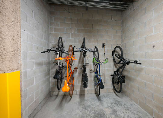 a group of bikes hanging on a wall in a storage room