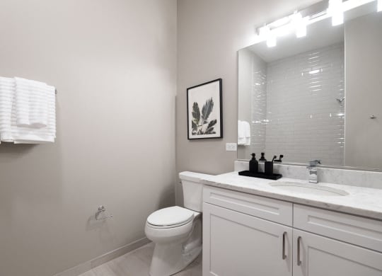 a bathroom with a toilet and a sink and a mirror