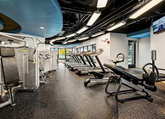 A gym with a row of treadmills and exercise machines.