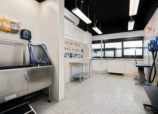A clean, well-lit commercial kitchen with stainless steel appliances and white walls.