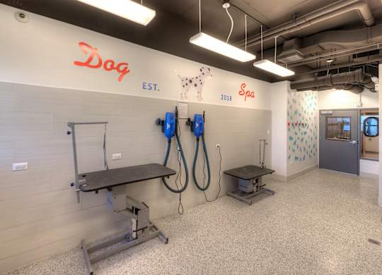 A dog grooming salon with a sign that says "Dog Est." and "Spa" on the wall.