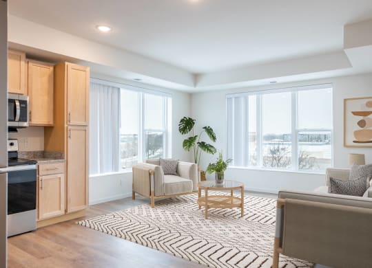 a living room with two couches and chairs and a rug
