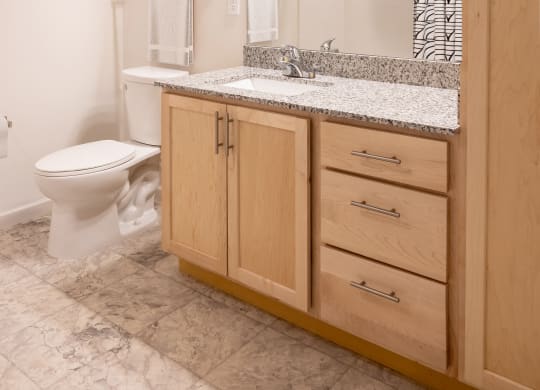 a bathroom with a toilet and a sink and a mirror