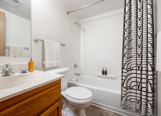 a bathroom with a sink toilet and bathtub at Ames Lake Neighborhood Apartments, St. Paul, MN