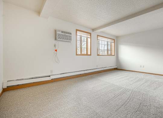 the living room is clean and ready to use at Ames Lake Neighborhood Apartments, St. Paul, 55106