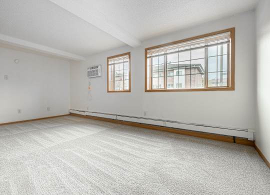 the living room is clean and ready to use at Ames Lake Neighborhood Apartments, St. Paul, Minnesota