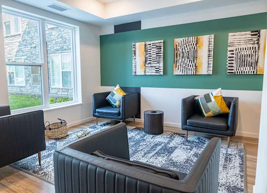 A living room with a black couch and a grey rug.