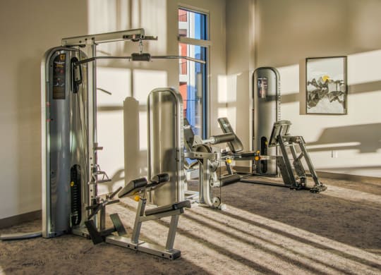 a fitness room with weights and cardio equipment at the district at highland village apartments