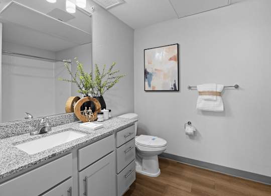 A bathroom with a toilet, sink, and a plant at Copa Flats Apartments, Maricopa, 85138