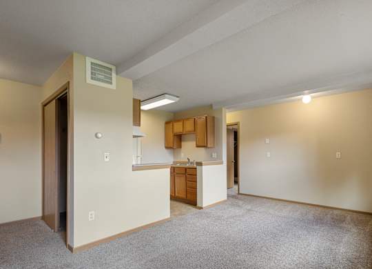 A room with a carpeted floor and a kitchenette in the background.