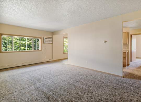 A large empty room with a carpeted floor and a window.