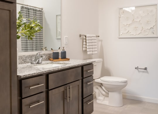 a bathroom with a sink and a toilet and a mirror
