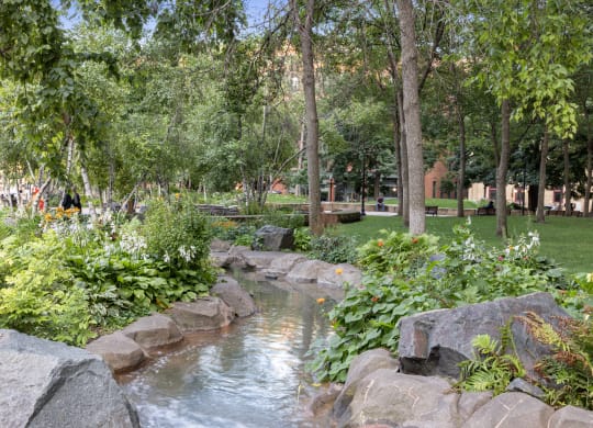a stream flows through a park with rocks and trees