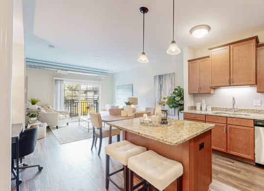 victoria flats apartment kitchen and living room