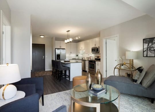 Modern Living Room Residences at 1700, Minnetonka, MN 55305