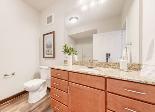 a bathroom with wooden cabinets and a toilet and a sink