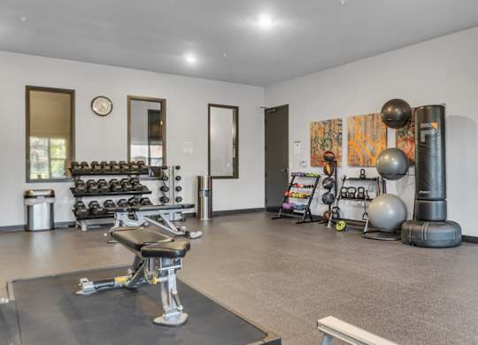 A gym with a variety of equipment including weights and a bench.