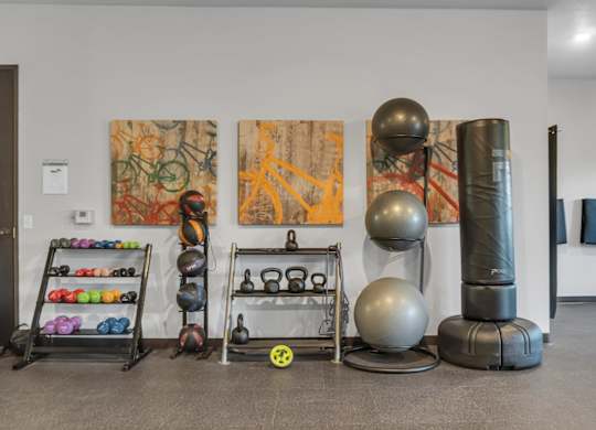 A room with a variety of exercise equipment including kettlebells, a medicine ball, and a weight rack.