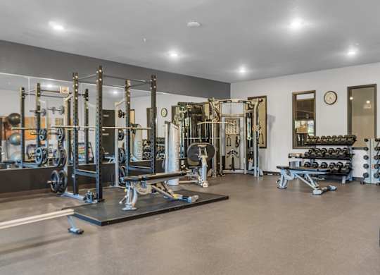 A spacious gym with a variety of equipment including a squat rack, bench press, and a punching bag.