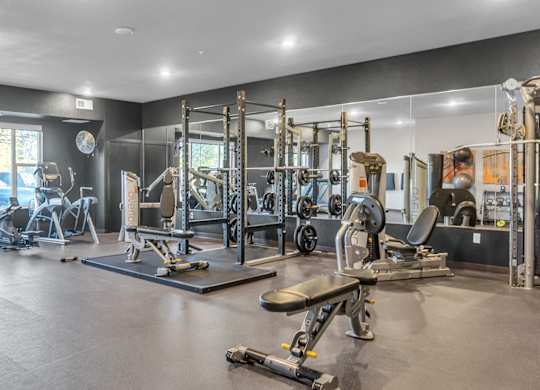 A spacious gym with a variety of equipment including treadmills, weights, and benches.