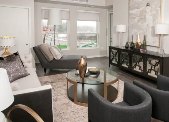 Large Community Clubhouse, Residences at 1700, Minnetonka