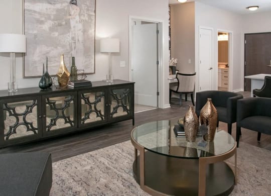 Decorated Living Space, Residences at 1700, MN 55305