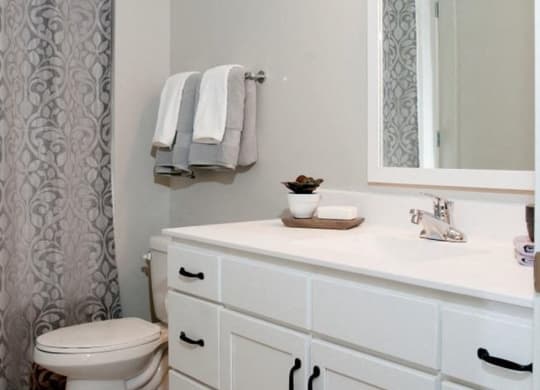 Custom Look Bathroom, Residences at 1700, Minnetonka, MN