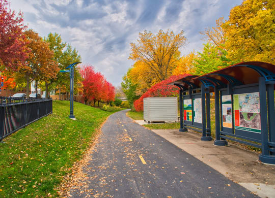 a path leading to a trail maps in a park with trees
