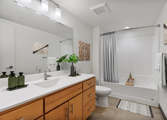 a bathroom with a sink and a toilet and a bath tub