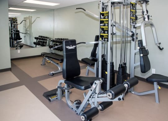 Workout Accessories at Aspenwoods Apartments, Eagan, MN, 55123