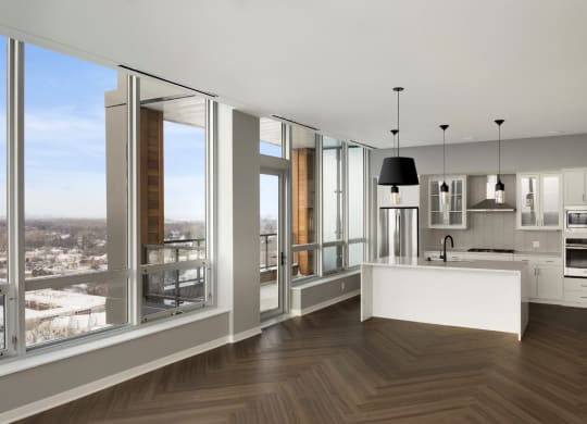 Penthouse Living Space at Calhoun Towers, Minneapolis, 55416