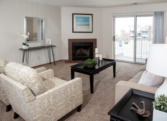 Classic 2 bedroom, 1.5 bath, model with fireplace at Cinnamon Ridge Apartments, Minnesota