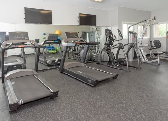 High Endurance Fitness Center at Cinnamon Ridge Apartments, Eagan, Minnesota