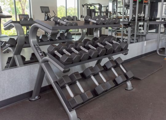 State-Of-The-Art Gym And Spin Studio at CityLine Apartments, Minnesota, 55406