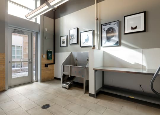 Dog Wash Station at Custom House, St. Paul