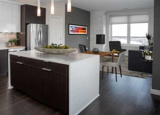 Custom House penthouse staged kitchen living in St Paul, MN
