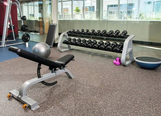 Free Weights In Gym at Custom House, Minnesota