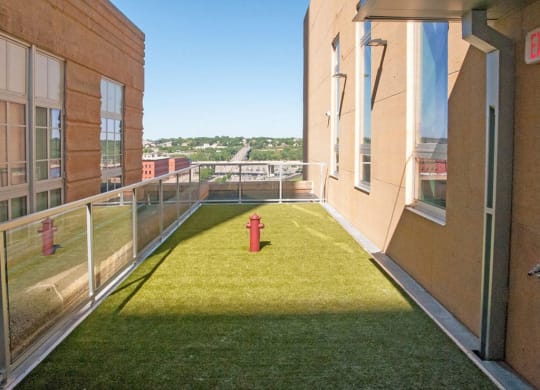 Lawn Bowling at Custom House, St. Paul, Minnesota