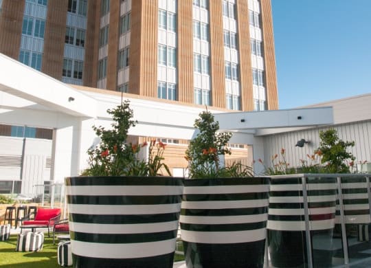 Luxury Apartments Available at Custom House, St. Paul, Minnesota
