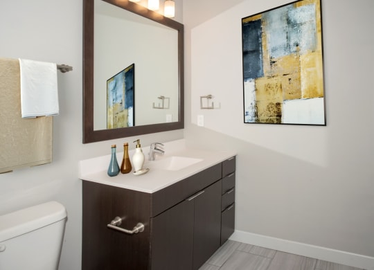 Spa Inspired Bathroom at Custom House, Minnesota, 55101