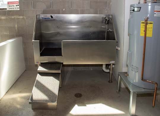 dog wash station