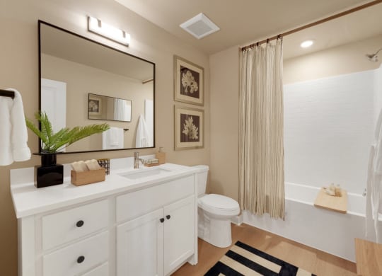 a bathroom with a white sink and a toilet and a shower