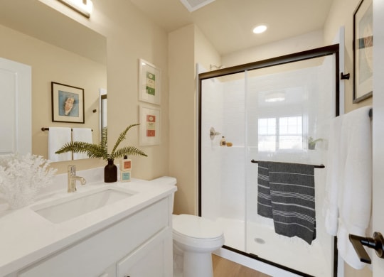 a bathroom with a shower and a sink and a toilet
