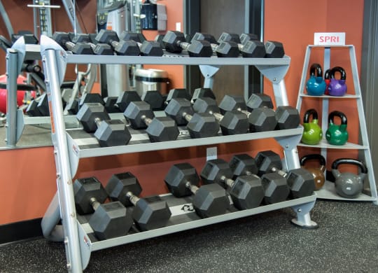 Weights in the Fitness Center at Victoria Flat, Minnesota
