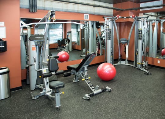 Modern Fitness Center at Victoria Flats, Victoria, MN 55386