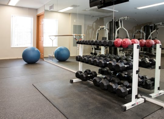 fitness center with free weights