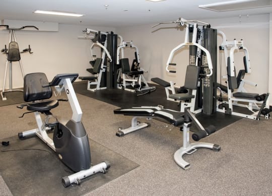 fitness center cardio and weight machines