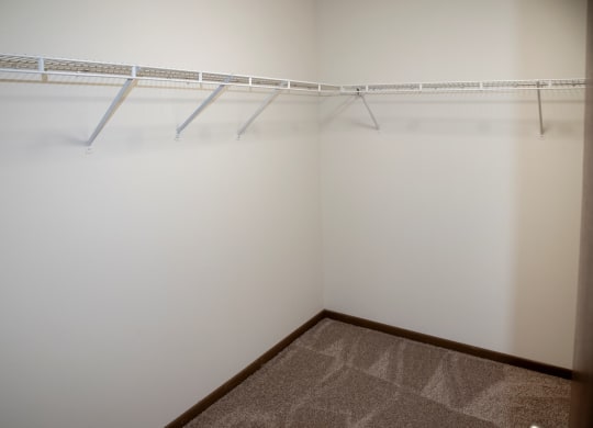 Walk-in closet in bedroom